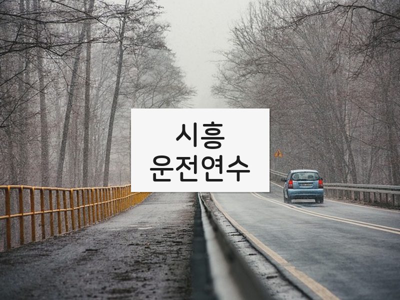 시흥운전연수 후기