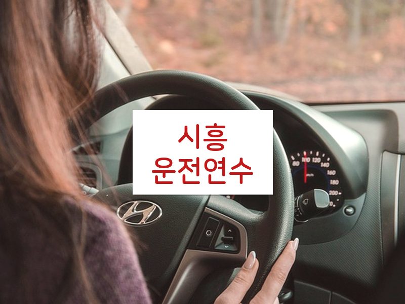 시흥운전연수 후기