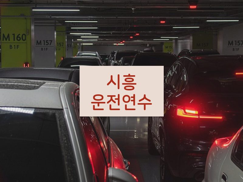 시흥운전연수 후기