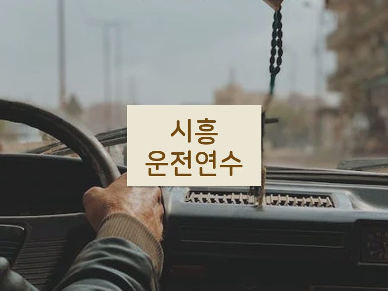 시흥운전연수 후기
