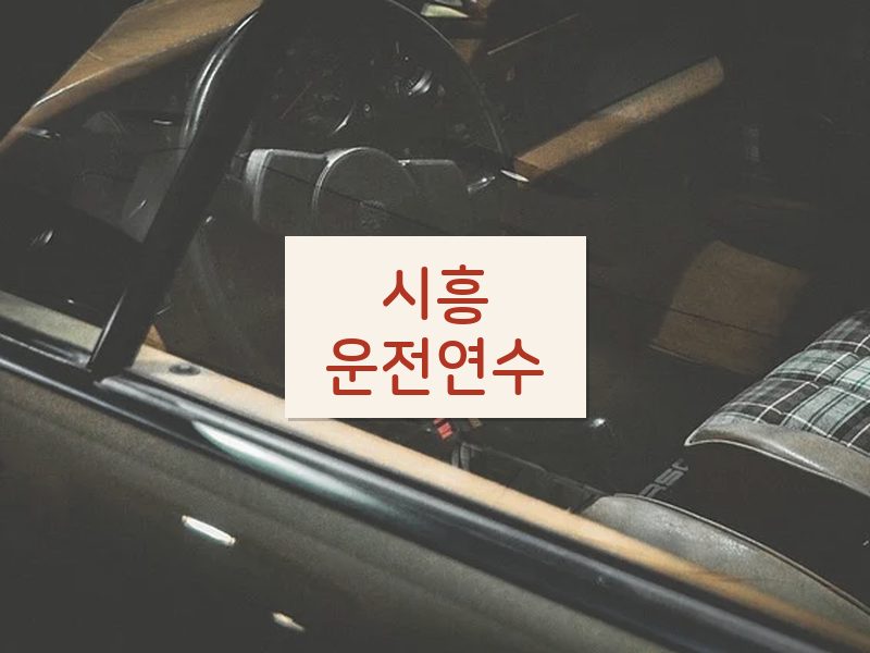시흥운전연수 후기