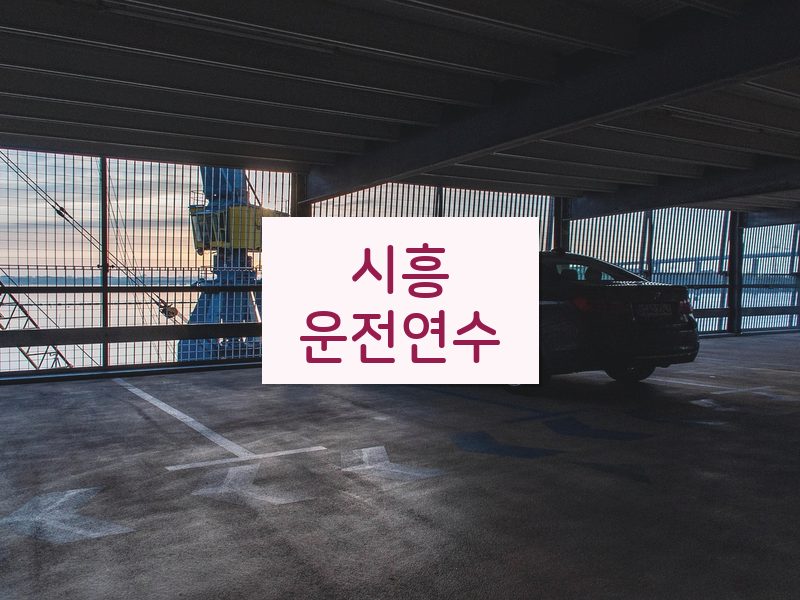 시흥운전연수 후기