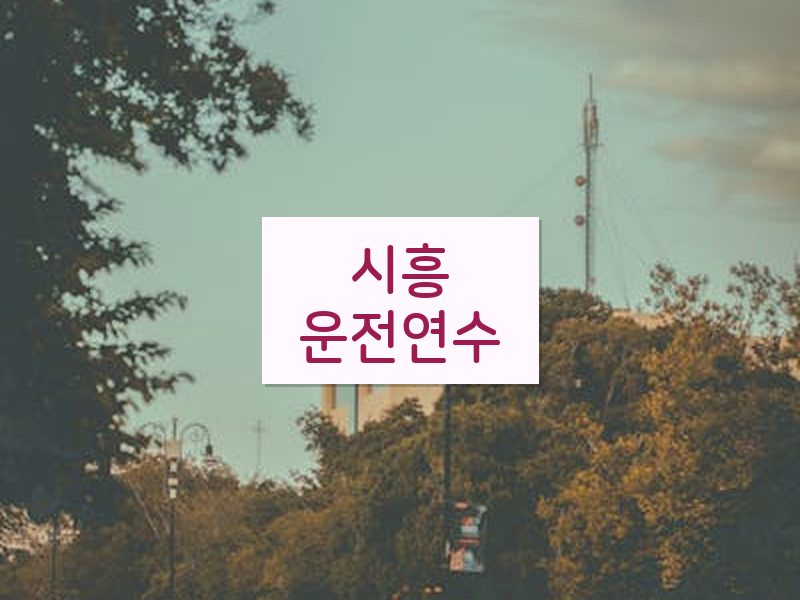 시흥운전연수 후기