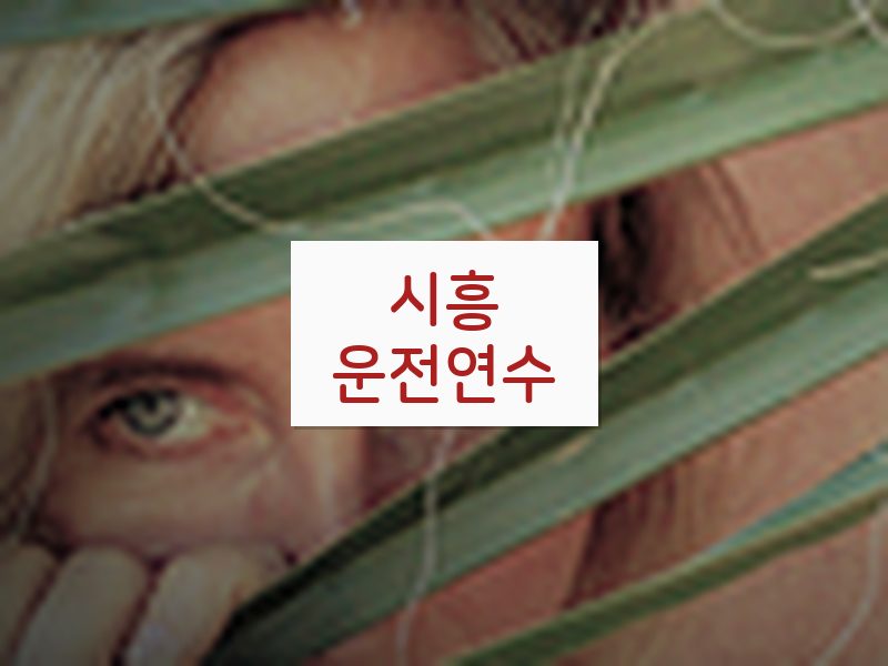 시흥운전연수 후기