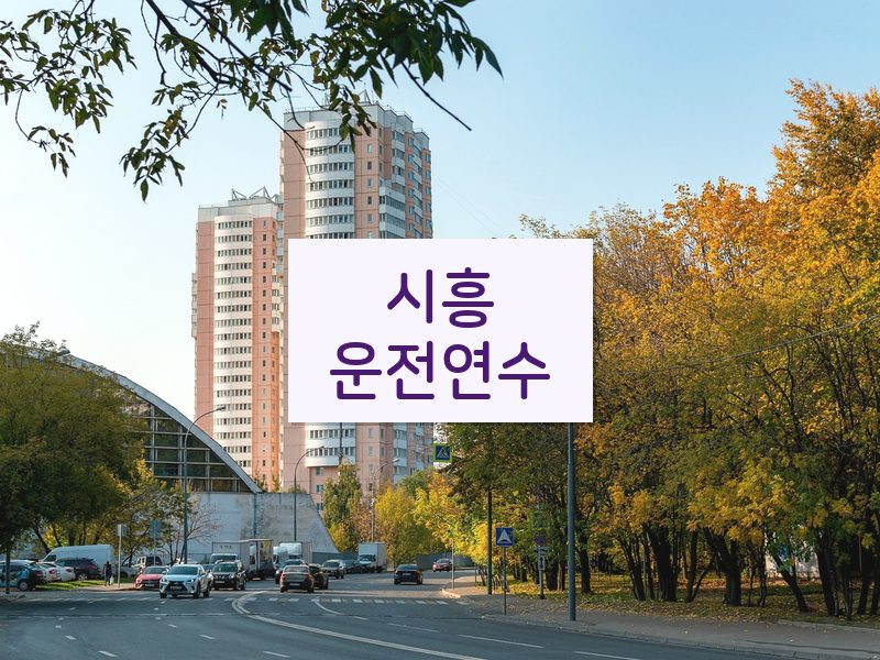 시흥운전연수 후기