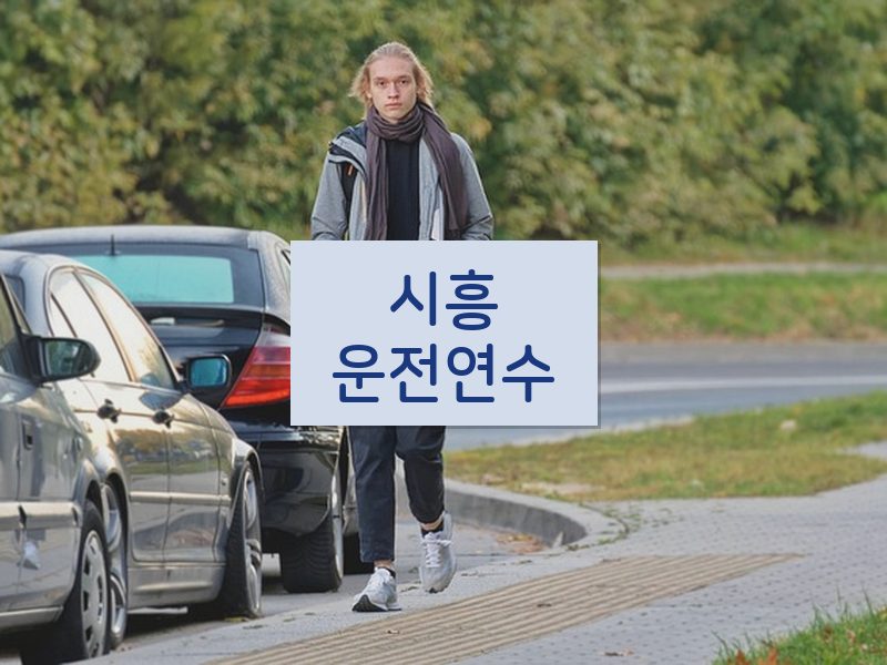 시흥운전연수 후기