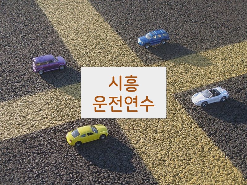 시흥운전연수 후기