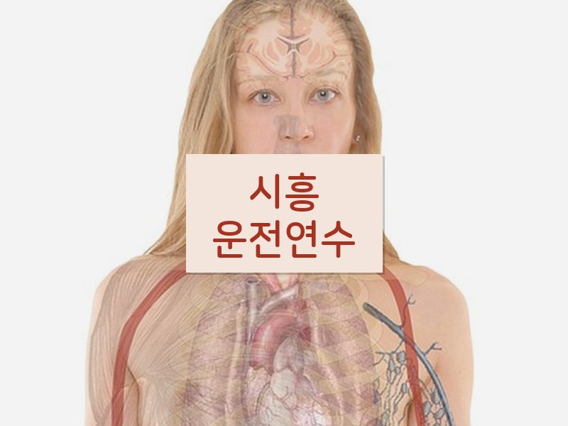시흥운전연수 후기