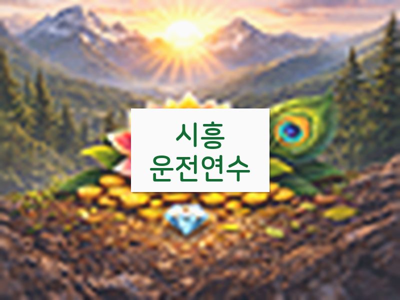 시흥운전연수 후기