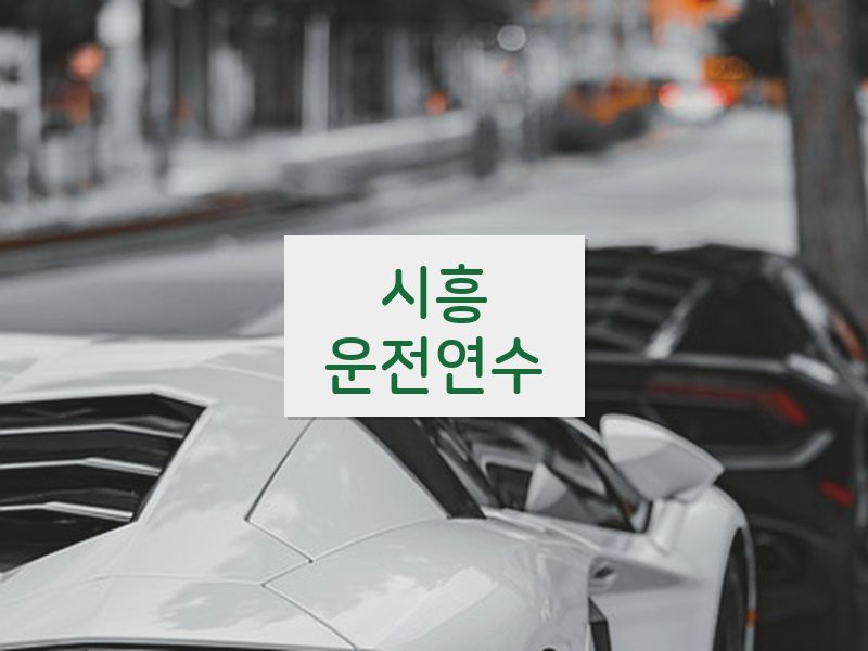 시흥운전연수 후기
