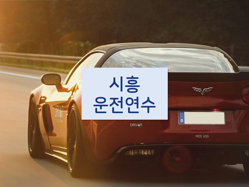 시흥운전연수 후기