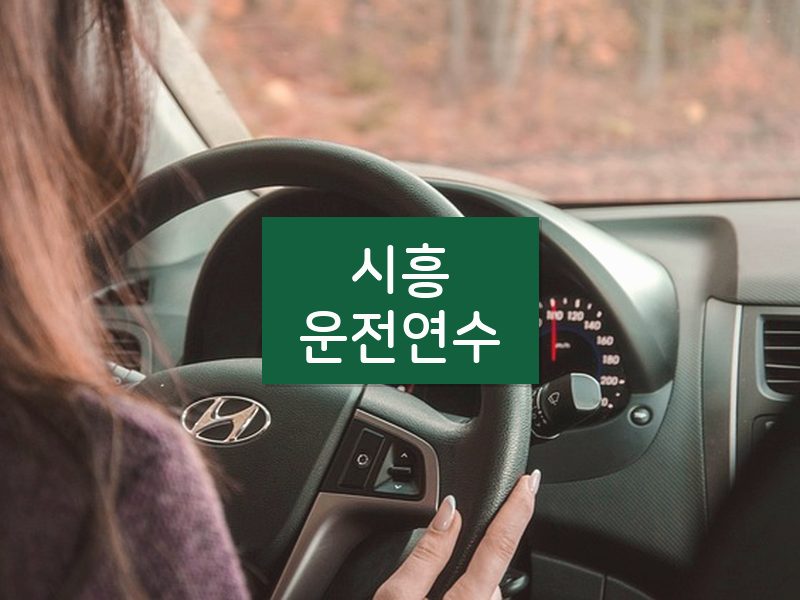 시흥운전연수 후기