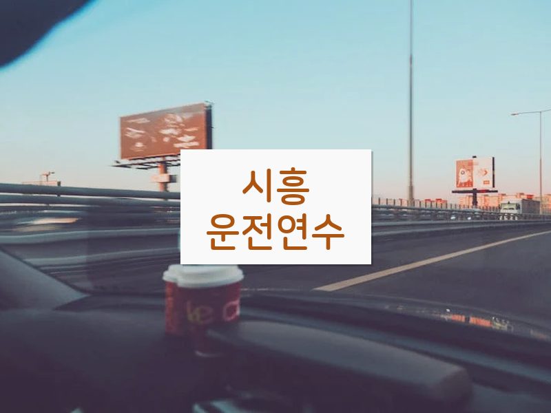 시흥운전연수 후기