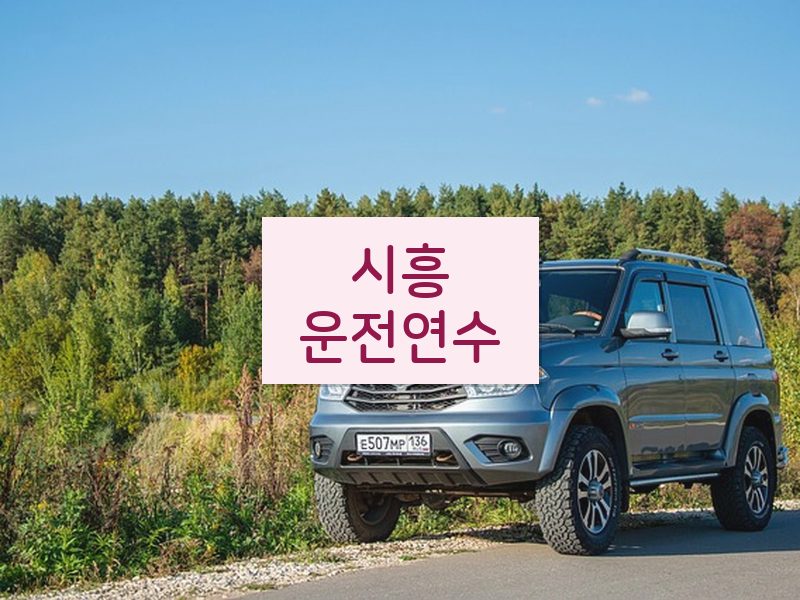 시흥운전연수 후기