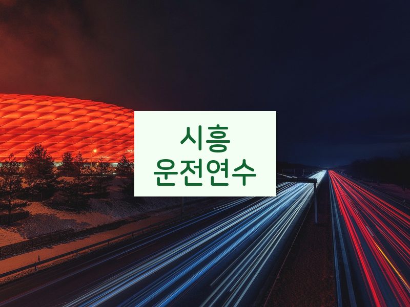 시흥운전연수 후기