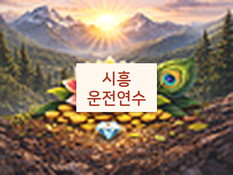 시흥운전연수 후기