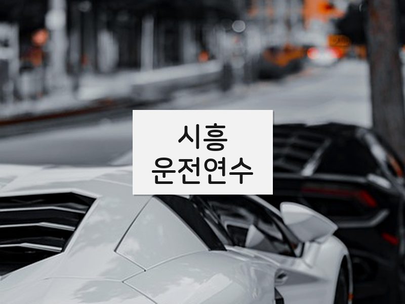 시흥운전연수 후기