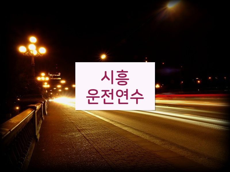 시흥운전연수 후기