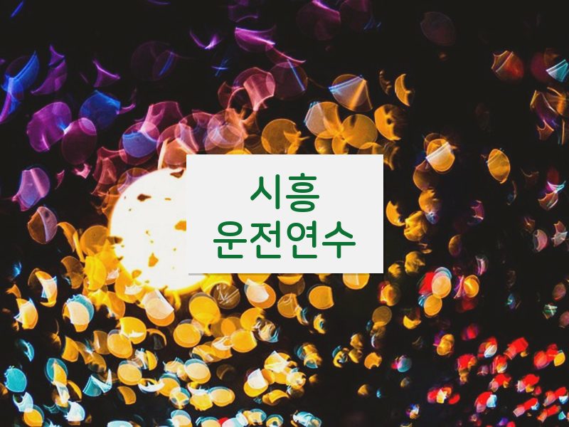 시흥운전연수 후기