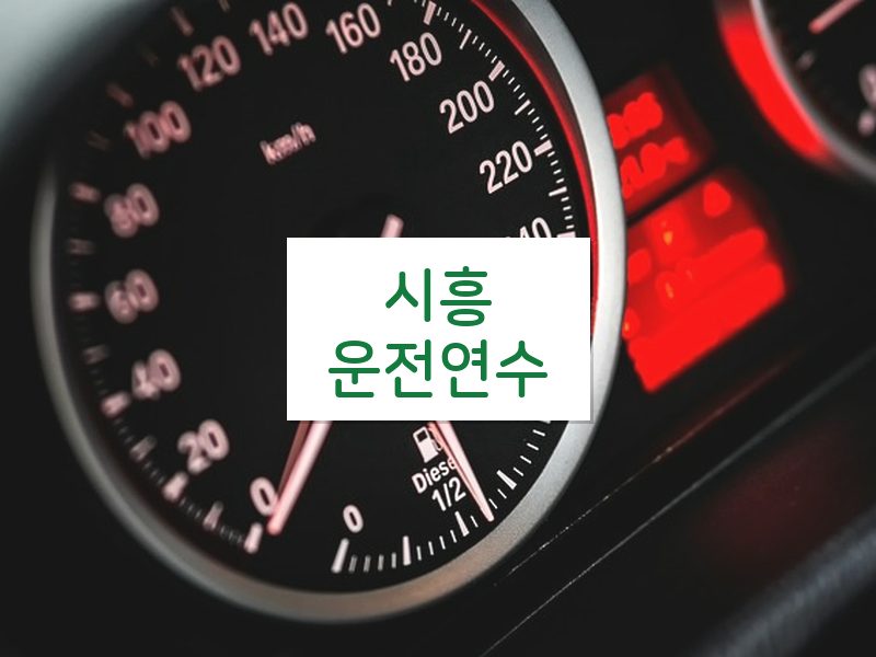 시흥운전연수 후기