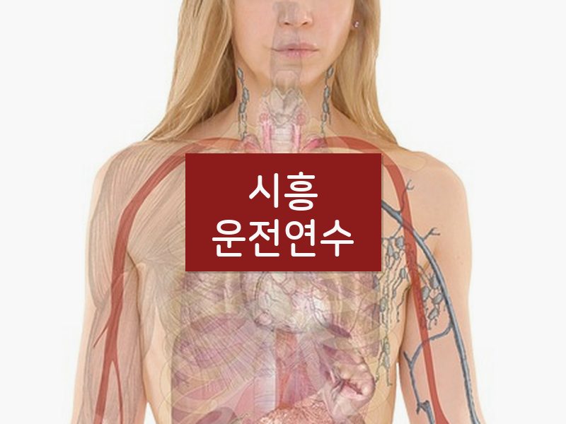 시흥운전연수 후기