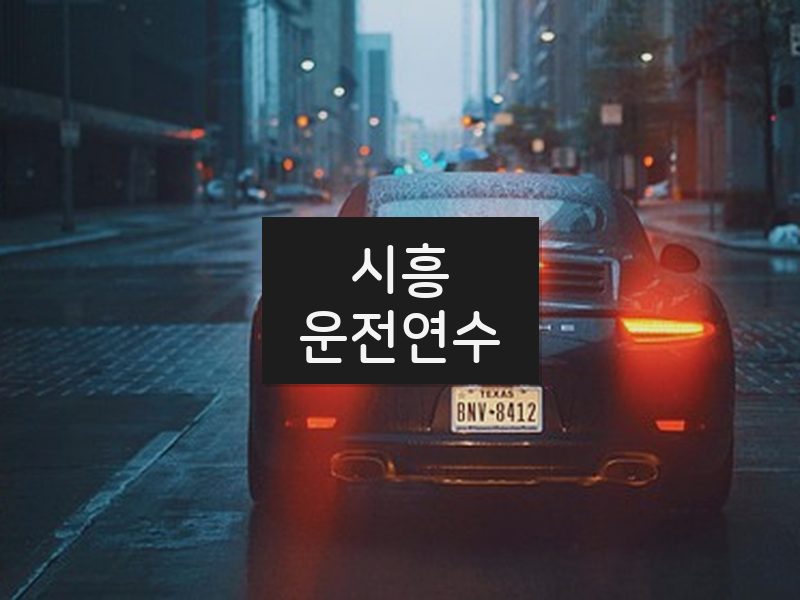 시흥운전연수 후기