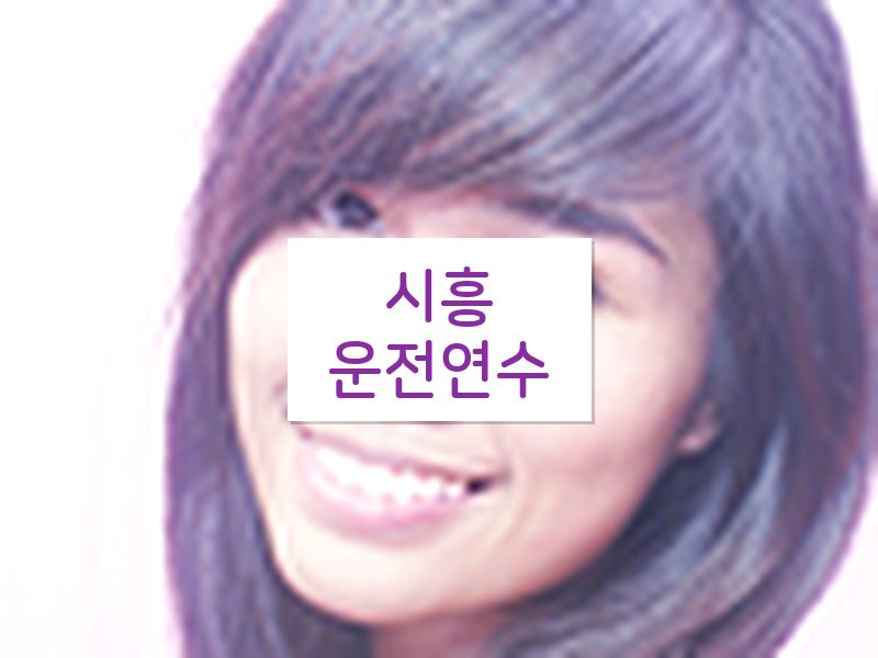 시흥운전연수 후기