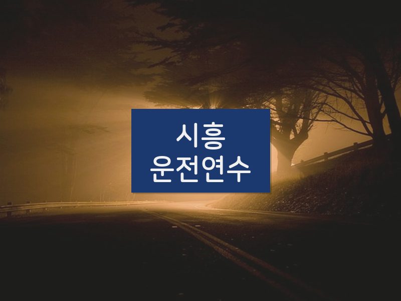 시흥운전연수 후기