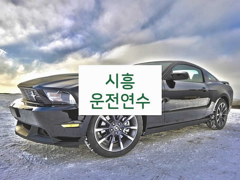시흥운전연수 후기