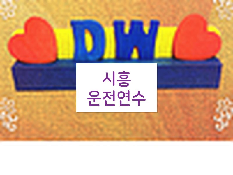 시흥운전연수 후기