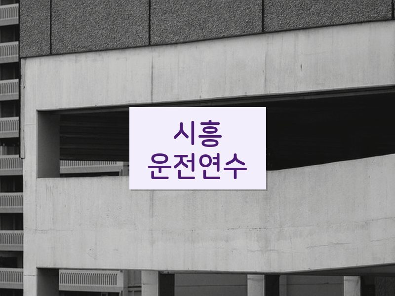 시흥운전연수 후기