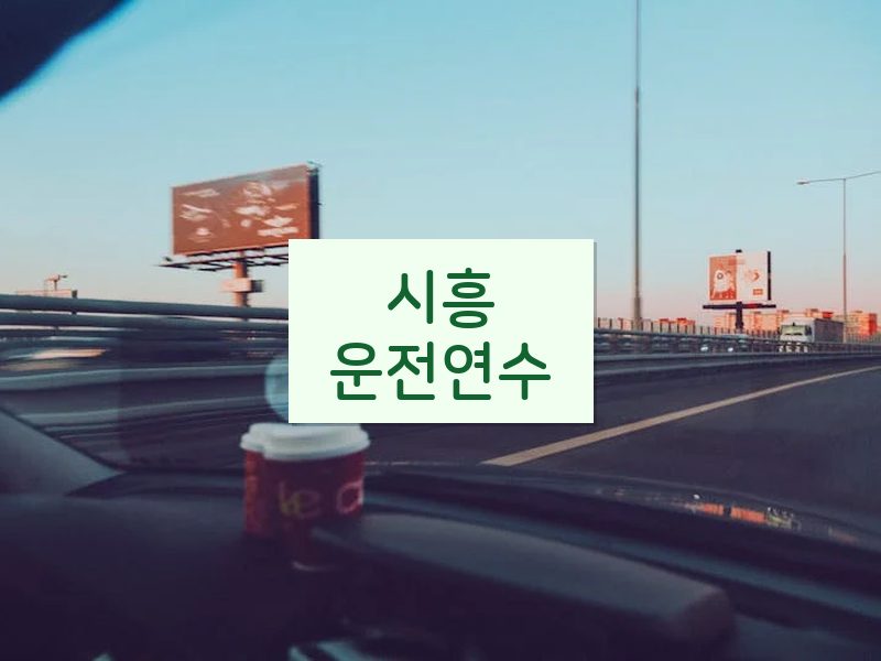 시흥운전연수 후기