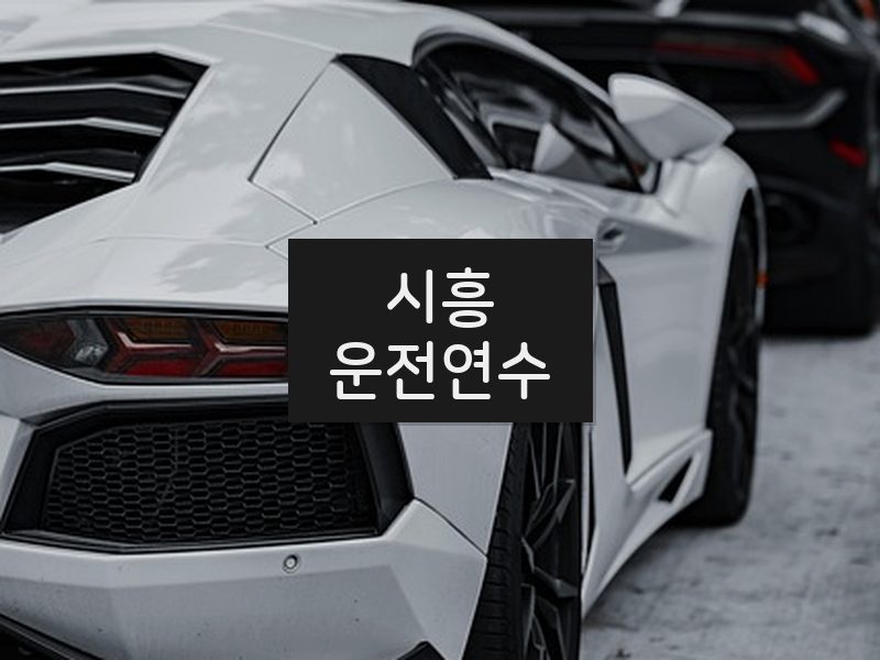 시흥운전연수 후기