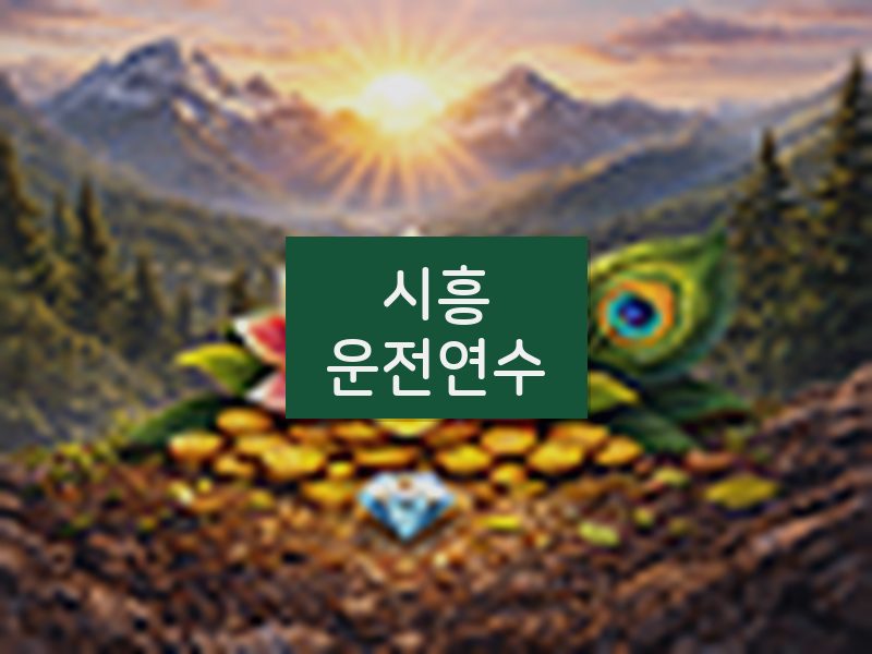 시흥운전연수 후기