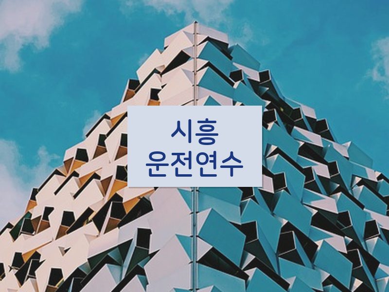 시흥운전연수 후기