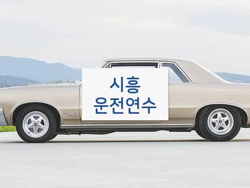 시흥운전연수 후기