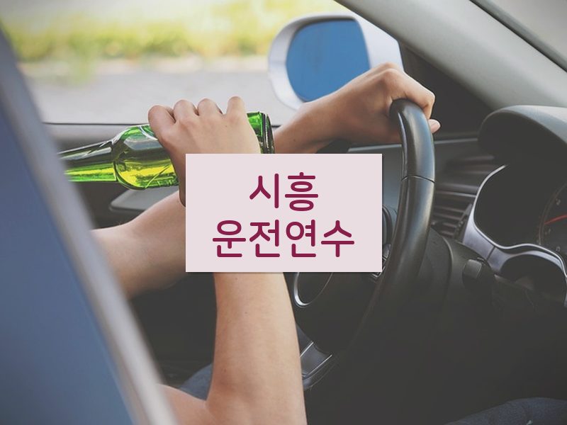 시흥운전연수 후기