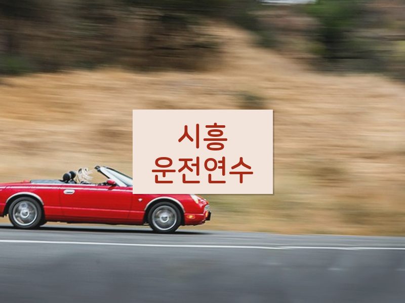 시흥운전연수 후기