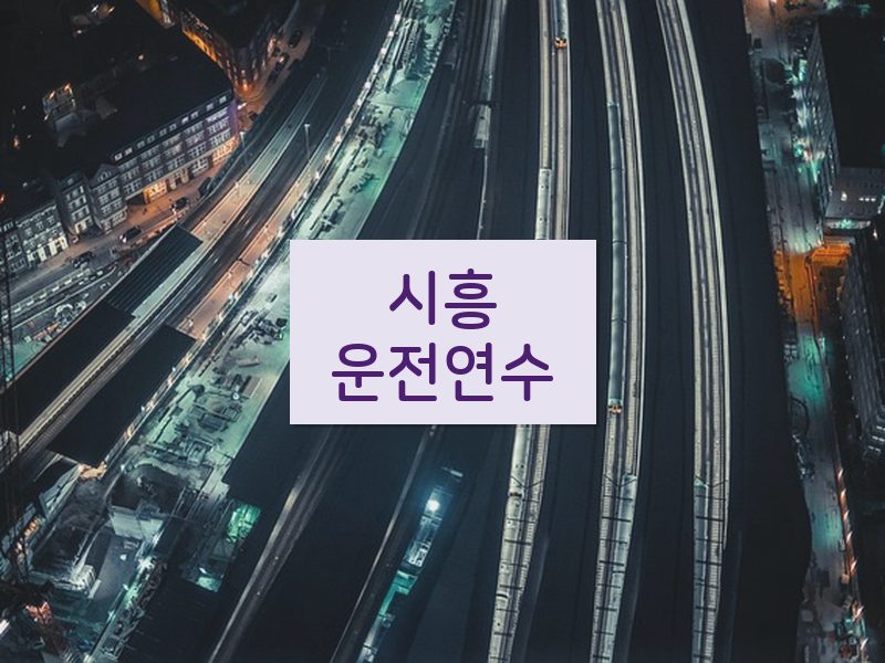 시흥운전연수 후기