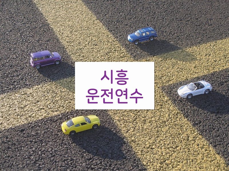 시흥운전연수 후기