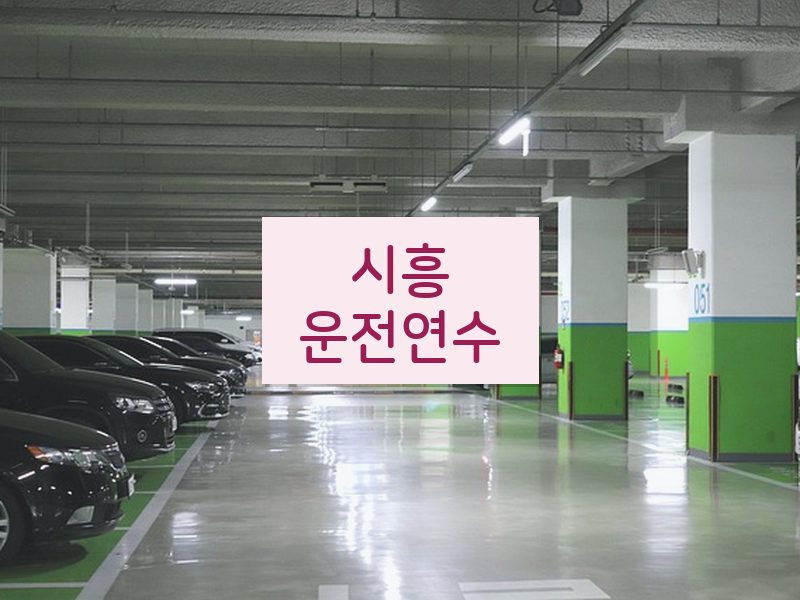 시흥운전연수 후기