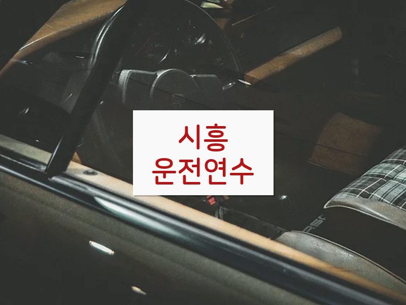 시흥운전연수 후기
