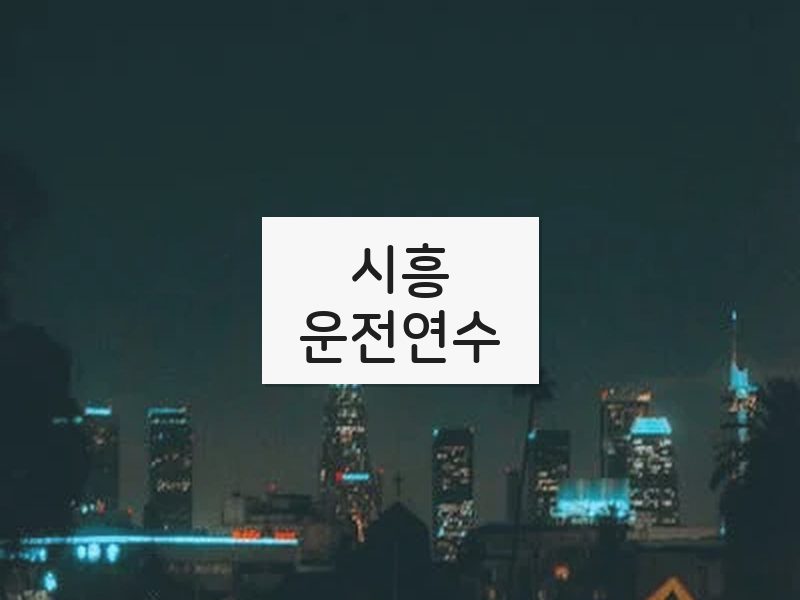 시흥운전연수 후기