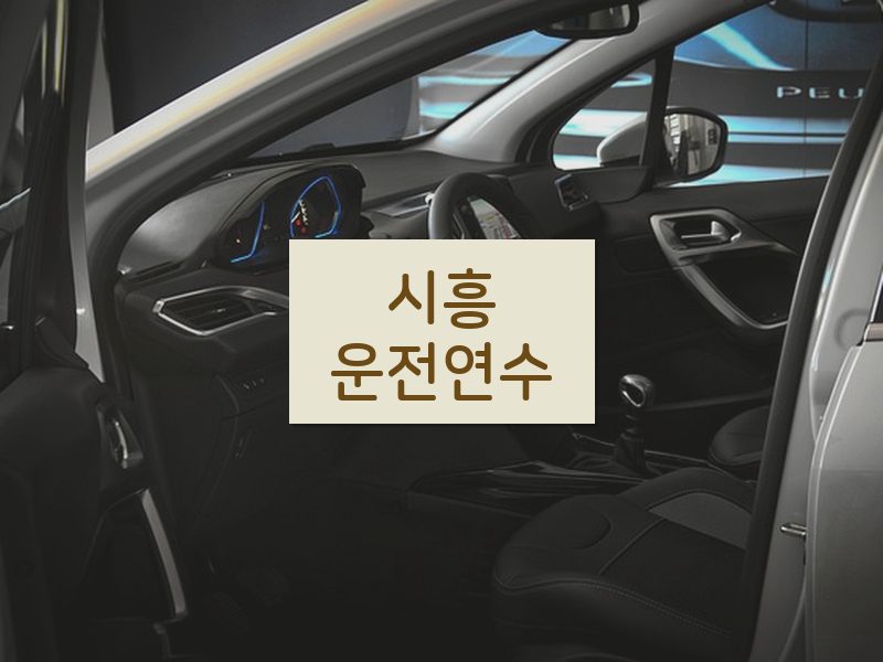 시흥운전연수 후기