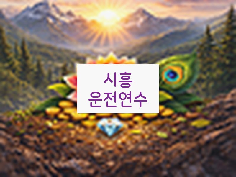 시흥운전연수 후기