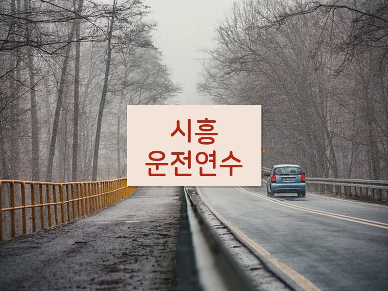 시흥운전연수 후기