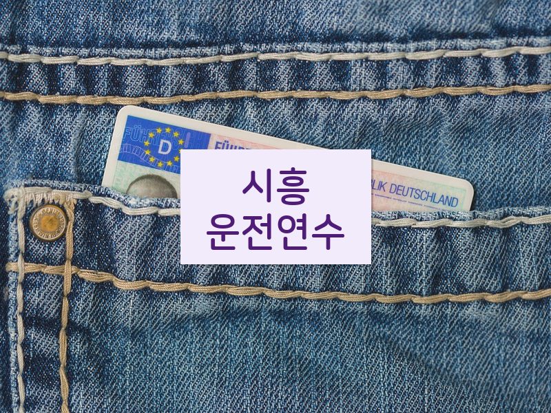 시흥운전연수 후기