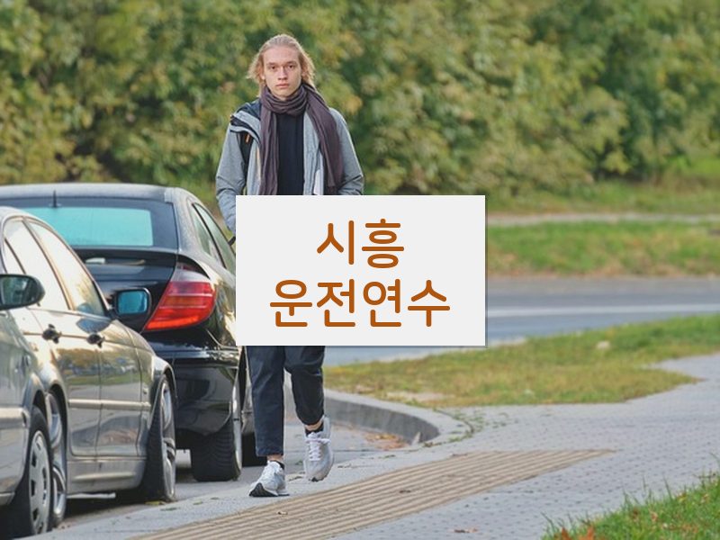 시흥운전연수 후기