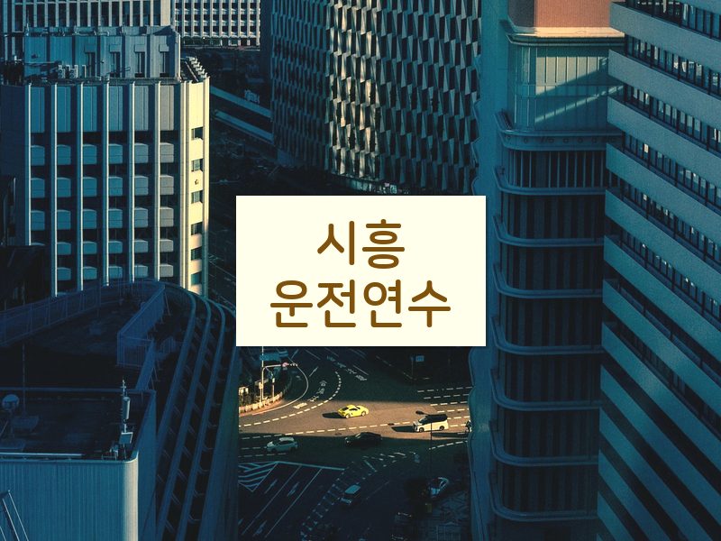 시흥운전연수 후기