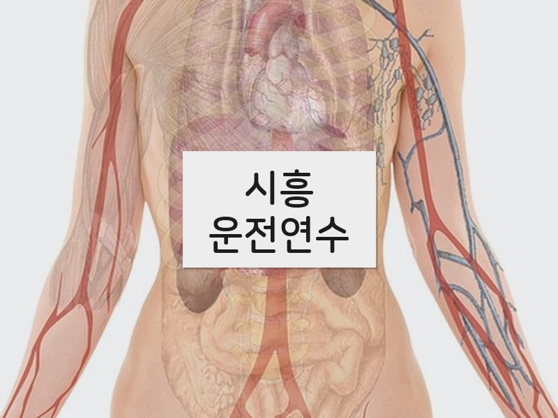 시흥운전연수 후기